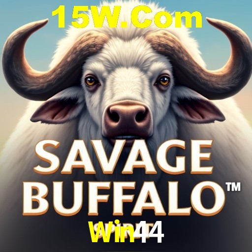 Interface Premium Win44
